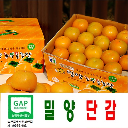 햇단감  GAP인증  밀양단감 부유5kg(36-38과소과) 무료배송